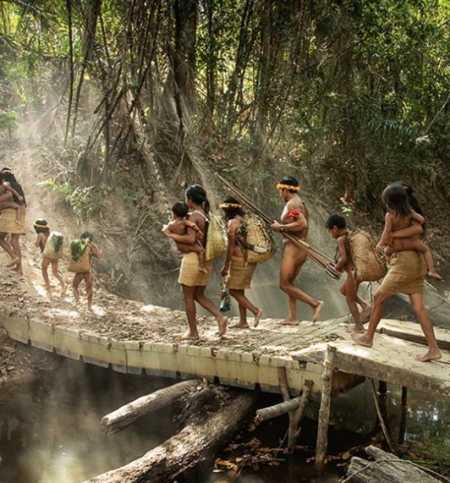 Ferri në pyjet e Amazonës, aktori i njohur premton miliona dollarë