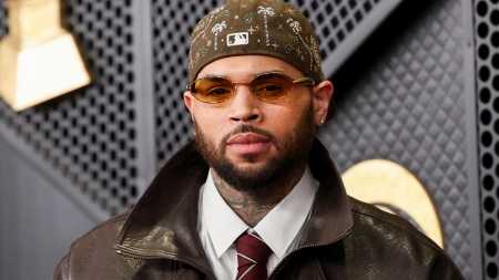 Shërbyesja u shpërfytyrua nga qeni i tij, Chris Brown dënohet me gjobën e majme