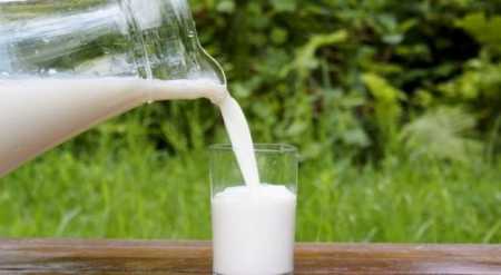 Qumështi aq shumë i nevojshëm për fëmijët, nuk ju bën mirë të gjithë të rriturve