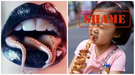 E preferoni oktapodin në ushqimin tuaj? Ndoshta nuk e dini se një nga tentakulat është organi gjenital